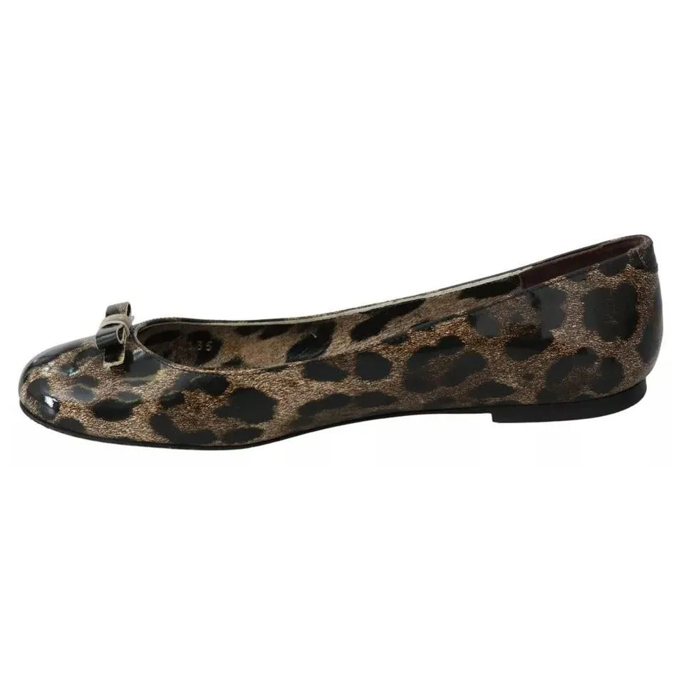 Darco Flat Shoe Dolce & Gabbana Brown Leopard Ballerina Flats Leather Shoes