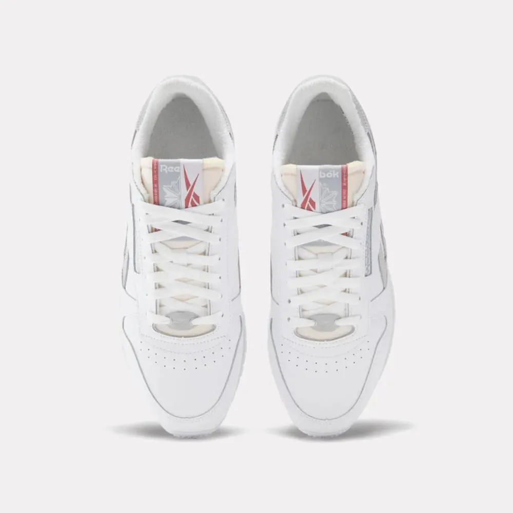 Men's Classic Leather Shoes Earth Casual Shoes