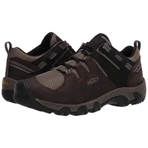 KEEN Men's Steens Vent Hiking Shoe, Brown, 10 Good Waterproof Hiking Shoes