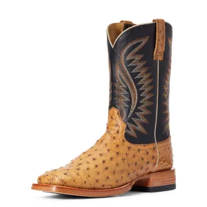 Black Knee High Riding Boots Ariat Gallup Tan Full Quill Ostrich Boot