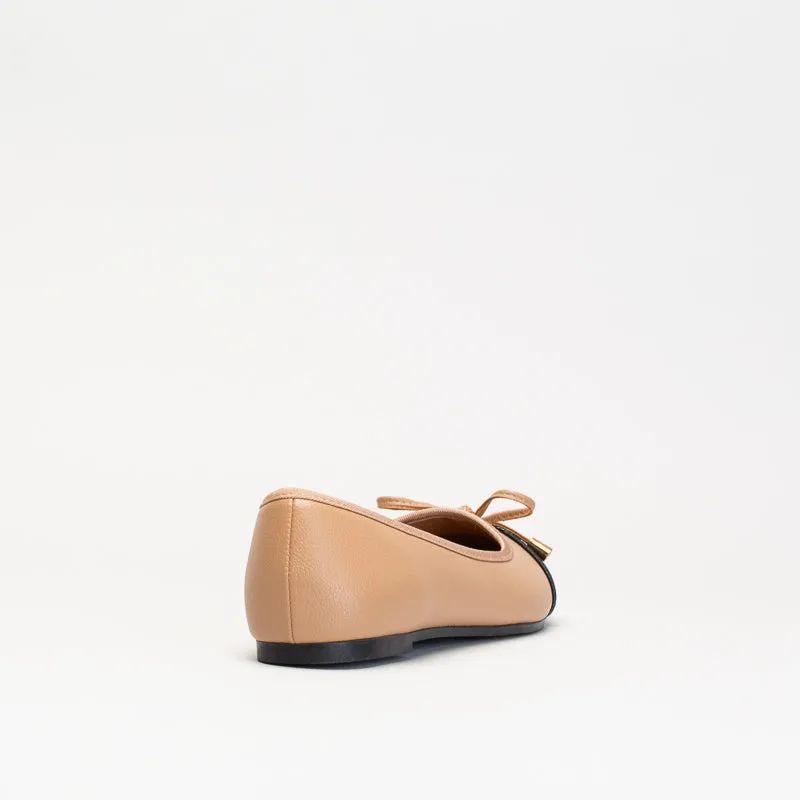 Sole Shoes Unreal Women Ballet Pump With Toe Cap _ 150832